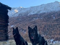Gitan und Shani